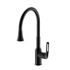 Valfex VF.73825-7 Смеситель для кухни, гибкий силиконовый излив, нерж. сталь Sagittarius Steel Black (10)