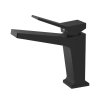 Valfex VF.10818-7 Смеситель для раковины, латунь Vega Black (10)